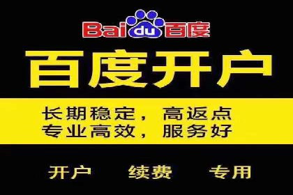 百度推广实战：打造爆款产品案例解析